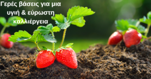 Blogpost Aquamin Renaissanse Glyss Strawberry 1200 × 630 Px In