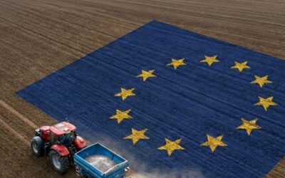 FEEDNEWS BIOSOLIDS