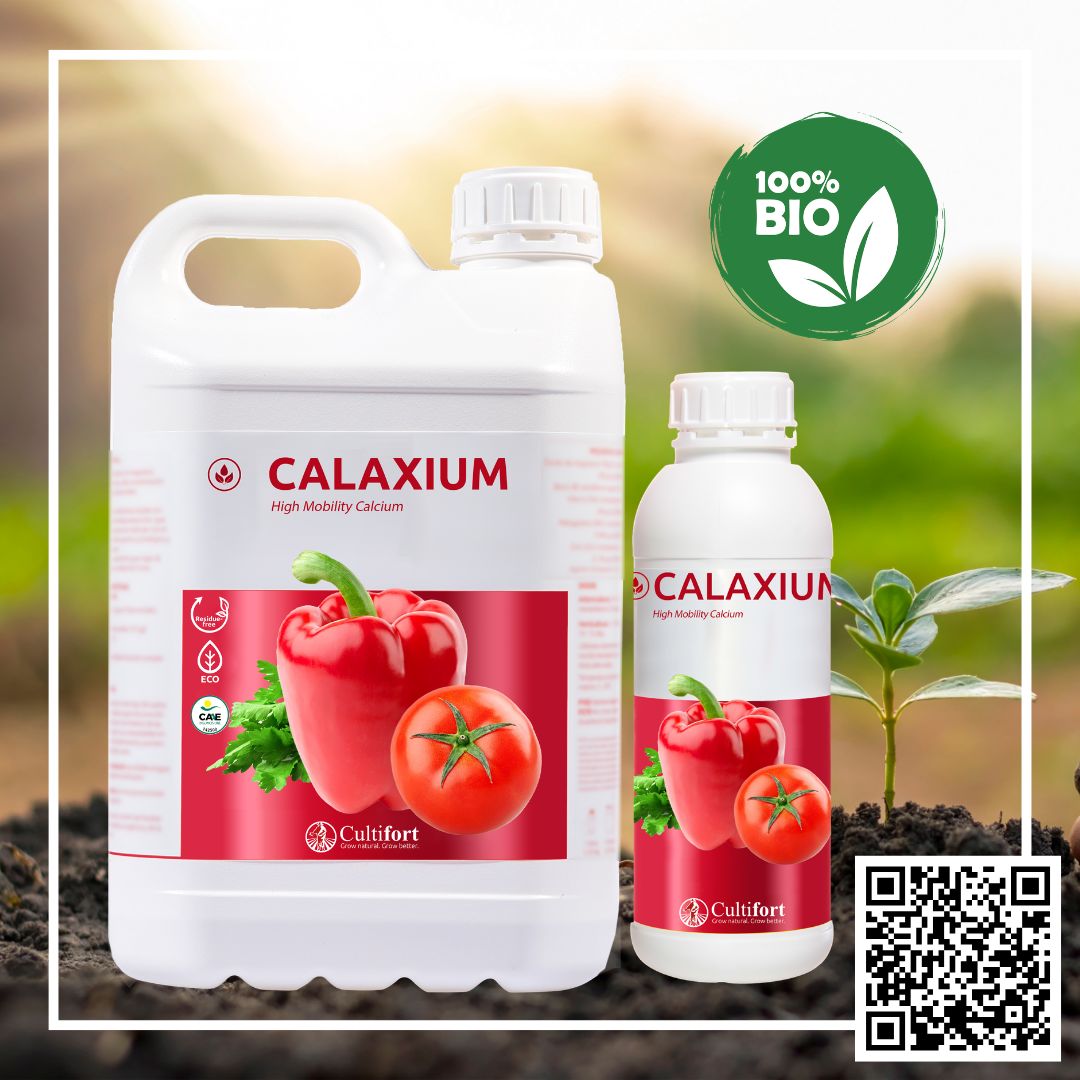 PROIONTA PHOTOS (27)