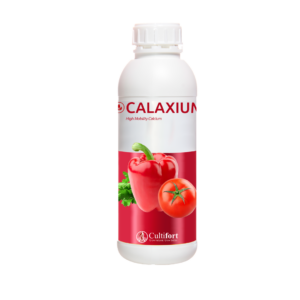 PROIONTA PHOTOS (4)