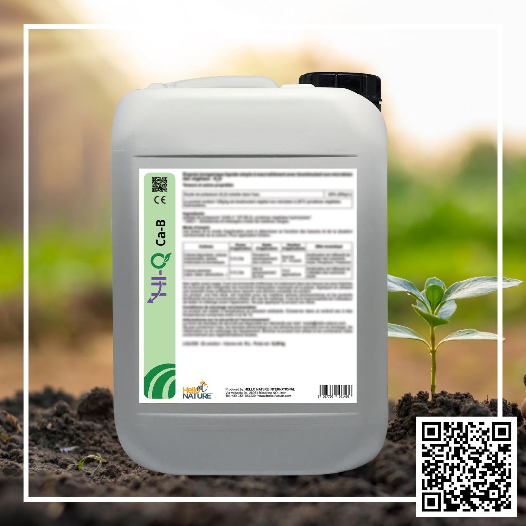 PROIONTA PHOTOS BIOSOLIDS WEBSITE (6) PROIONTA PHOTOS BIOSOLIDS WEBSITE (6)