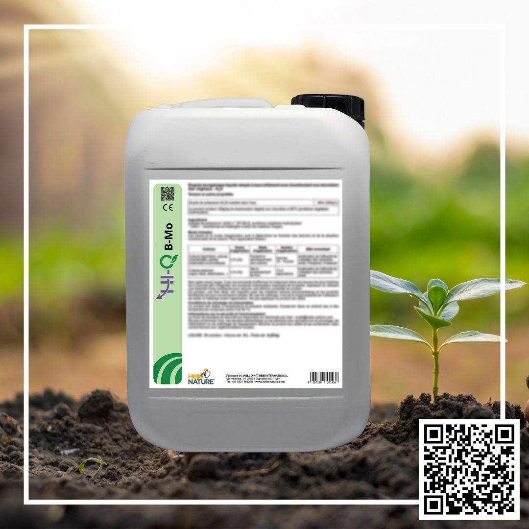 PROIONTA PHOTOS BIOSOLIDS WEBSITE (7) PROIONTA PHOTOS BIOSOLIDS WEBSITE (7)