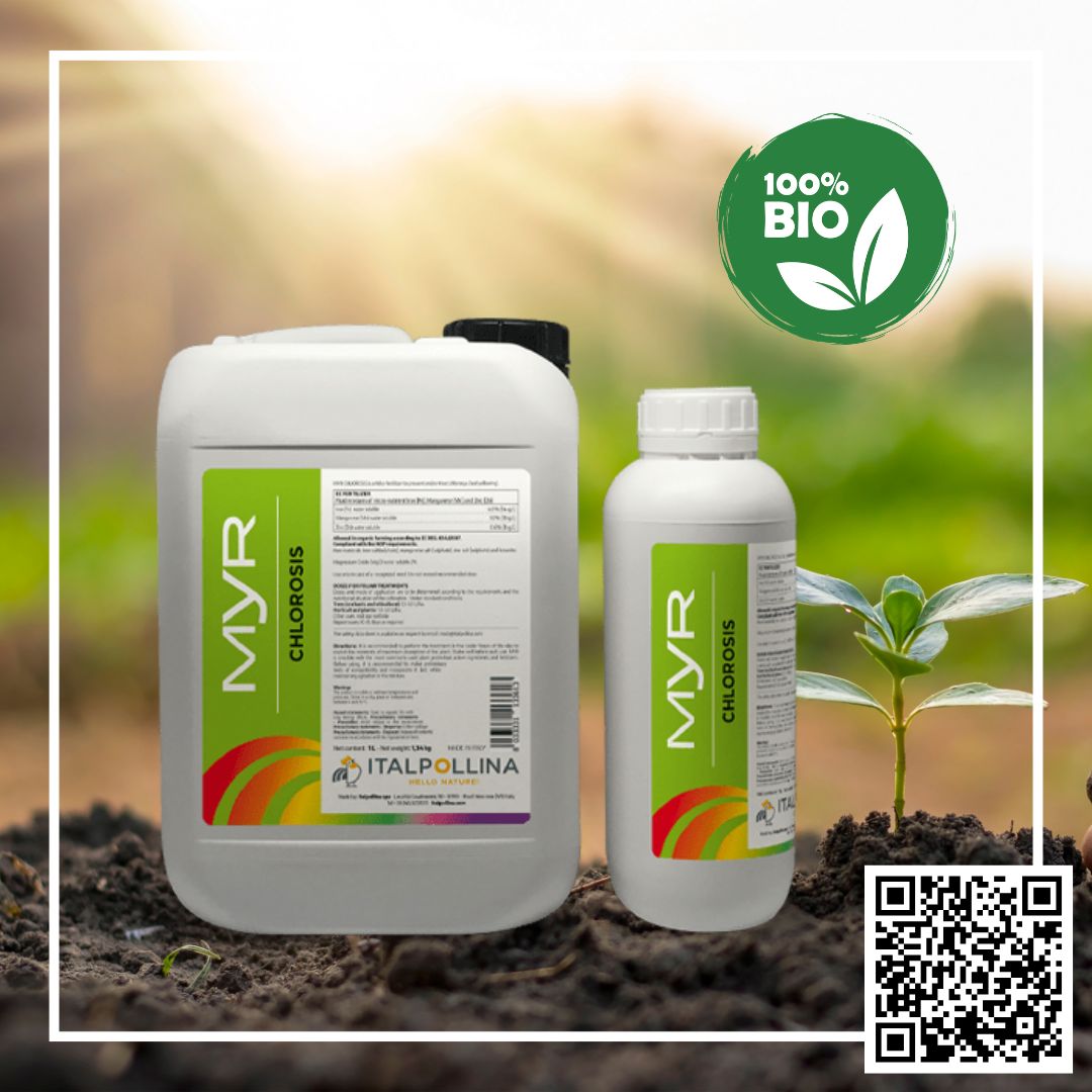 PROIONTA PHOTOS BIOSOLIDS WEBSITE (3)