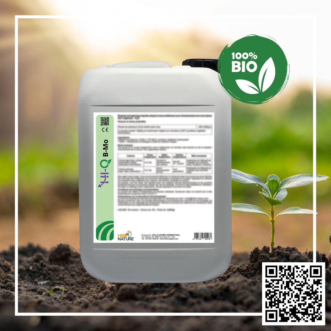 PROIONTA PHOTOS BIOSOLIDS WEBSITE PROIONTA PHOTOS BIOSOLIDS WEBSITE